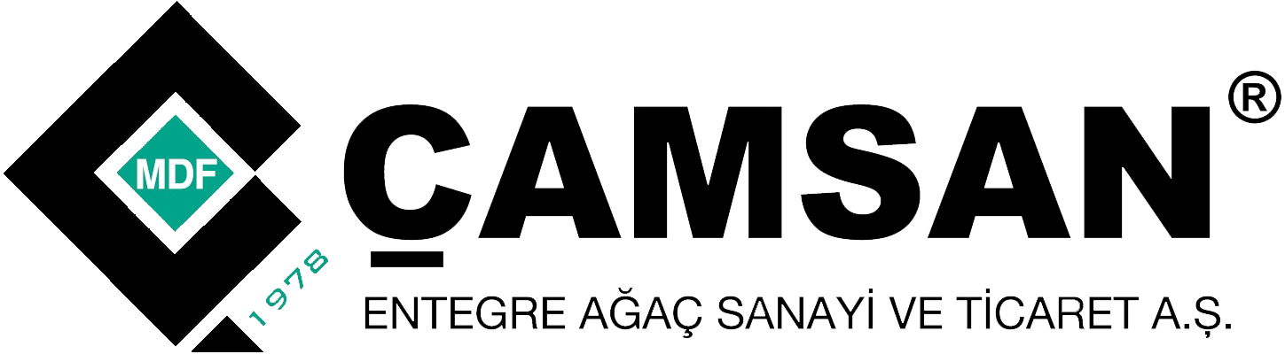 11-logo-camsan black